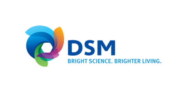 DSM expands Digimat-AM solution