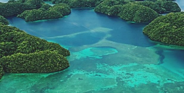 island nation palau enforce ban reef toxic sunscreens