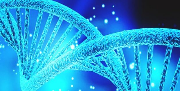 Attis partners with Novozymes to provide biotechnology support