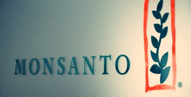 Monsanto weed killer permit revoked by French court on safety grounds