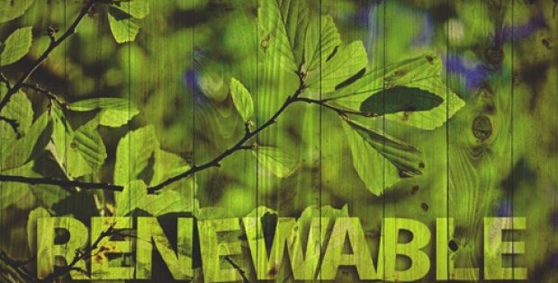 BioMCN to manufacture renewable methanol with green hydrogen