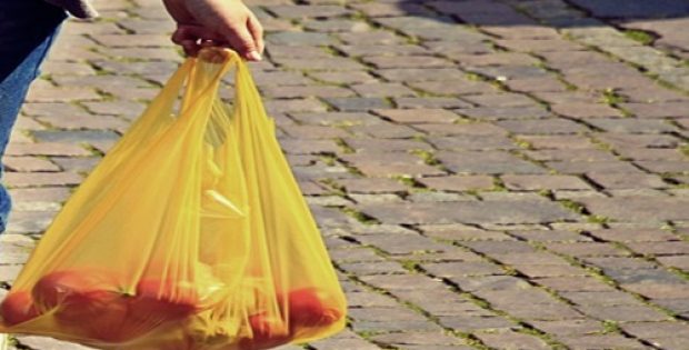 New York formally confirms ban on plastic bags to protect environment